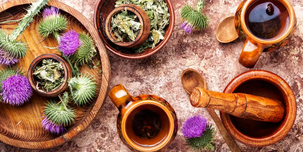 Dřevěný podnos s různými formami ostropestřce mariánského, včetně sušených listů a květů, a hrníčky čaje, zdůrazňující tradiční bylinné léčení.