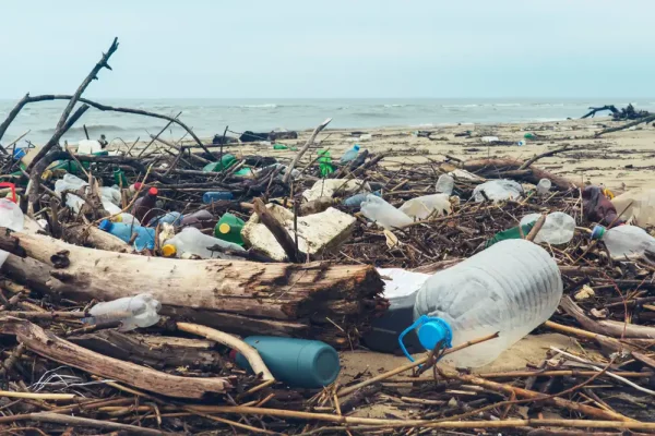 Plasty v oceánu: Proč tam končí a jak tomu zabránit?