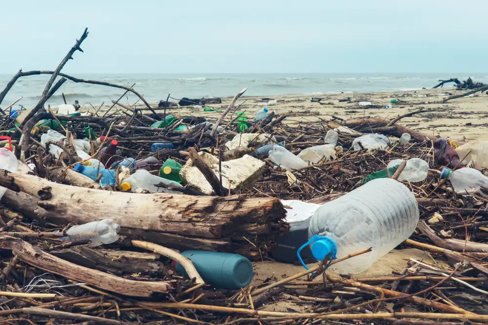 Plasty v oceánu - Přímé vyhazování odpadů do moře