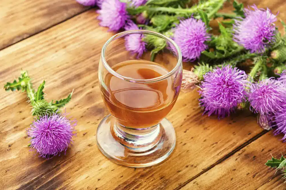 Sklenice s bylinným čajem obklopená fialovými květy, které mohou naznačovat bylinky používané pro snížení kyseliny močové.